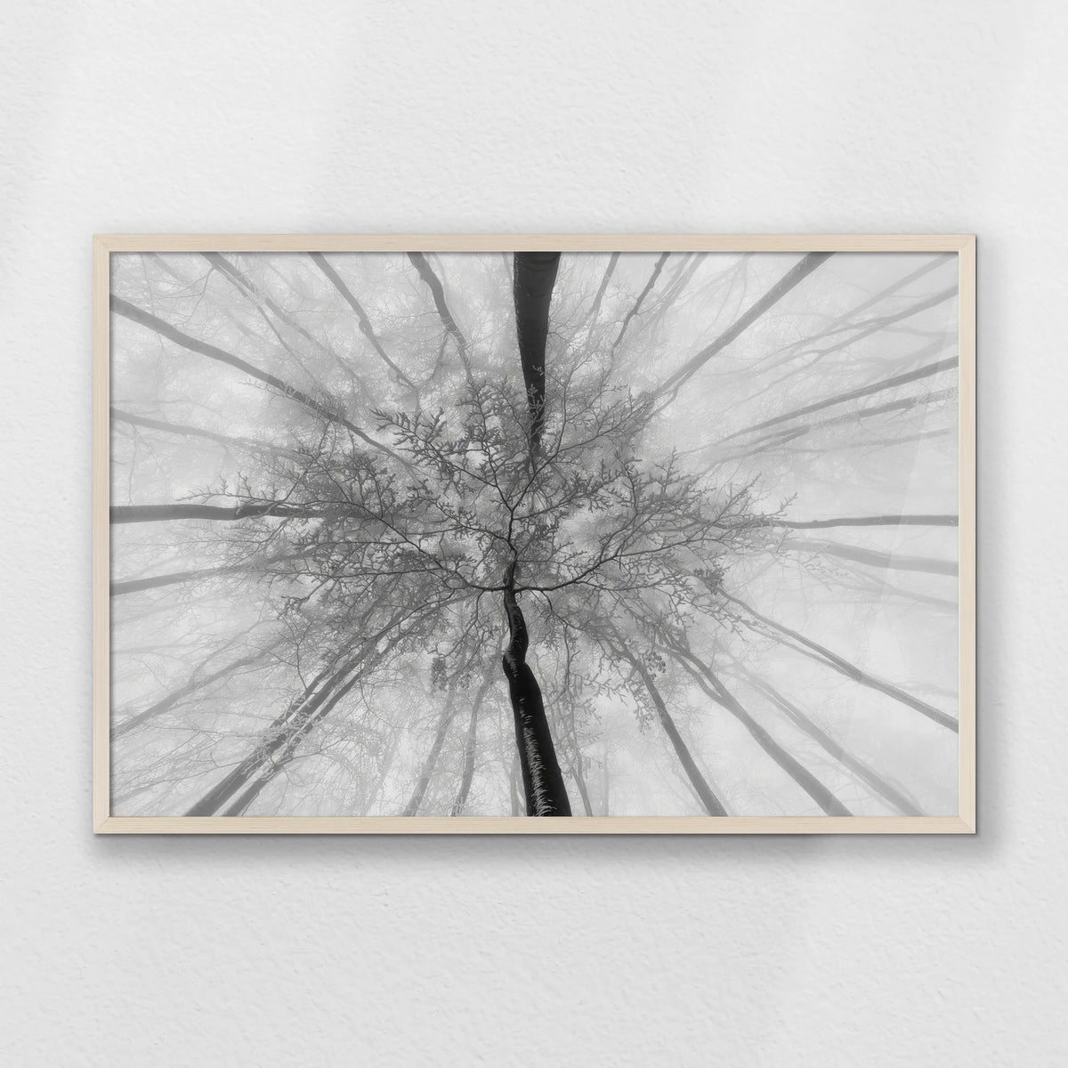 PN-093W062