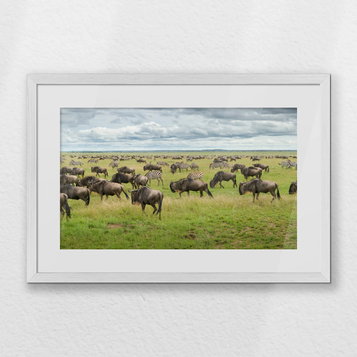 PWP060W040