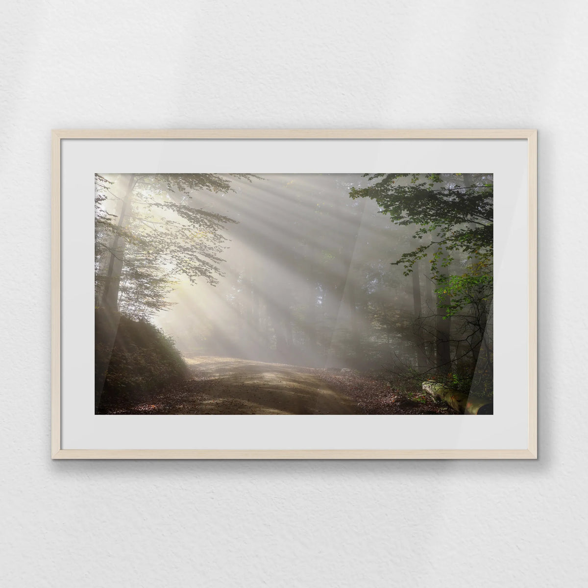 PNP093W062