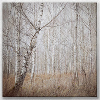 LW-060W060