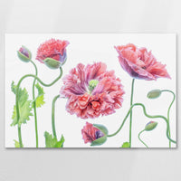 AL-075W050