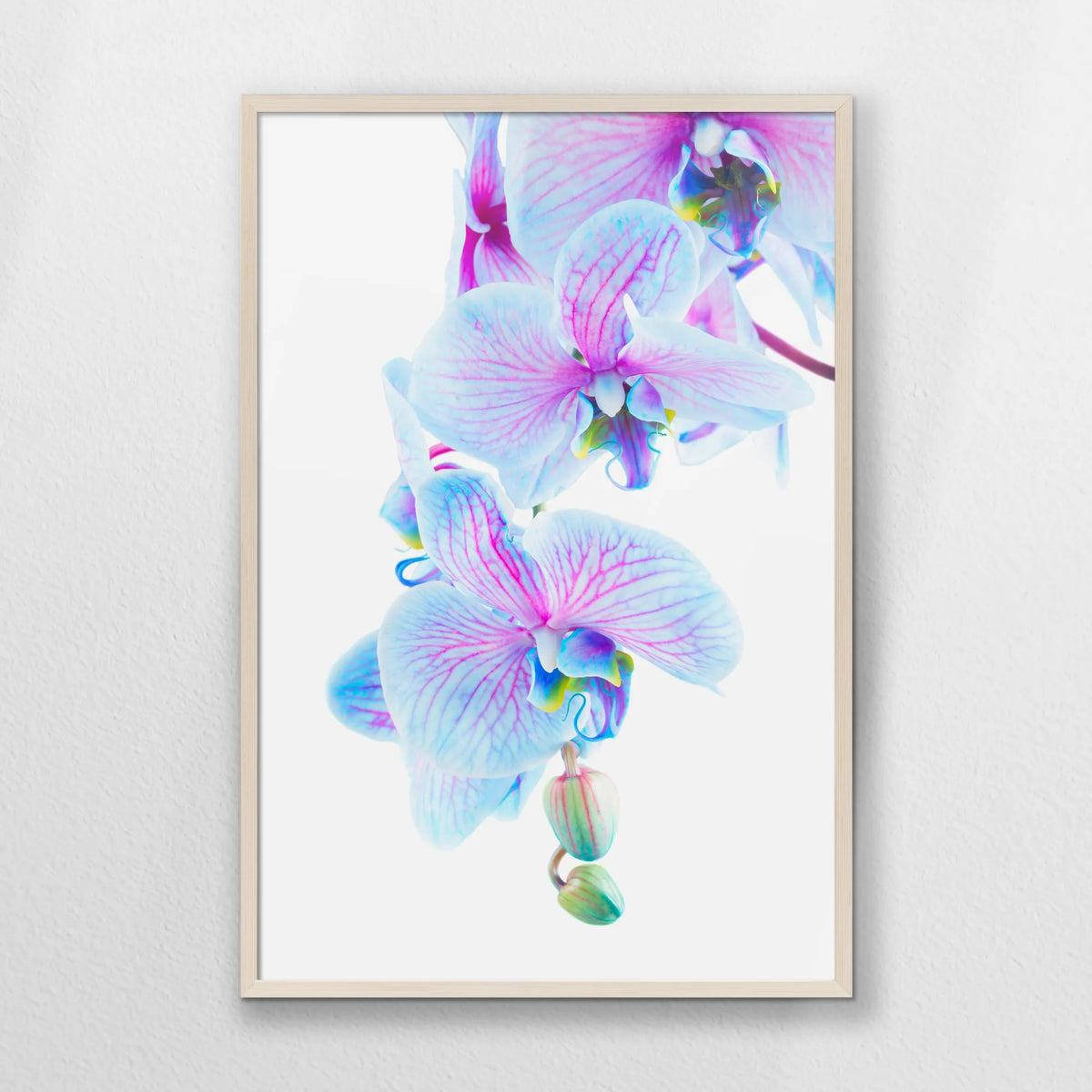 PN-062W093