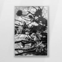 PS-062W093