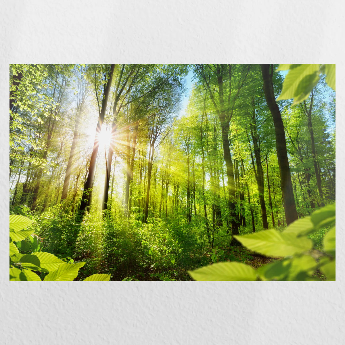 PO-030W020