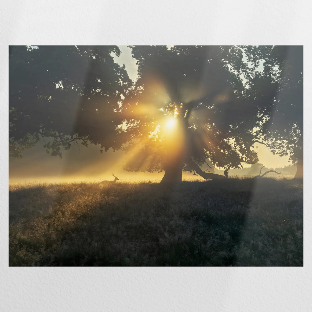 PO-080W060