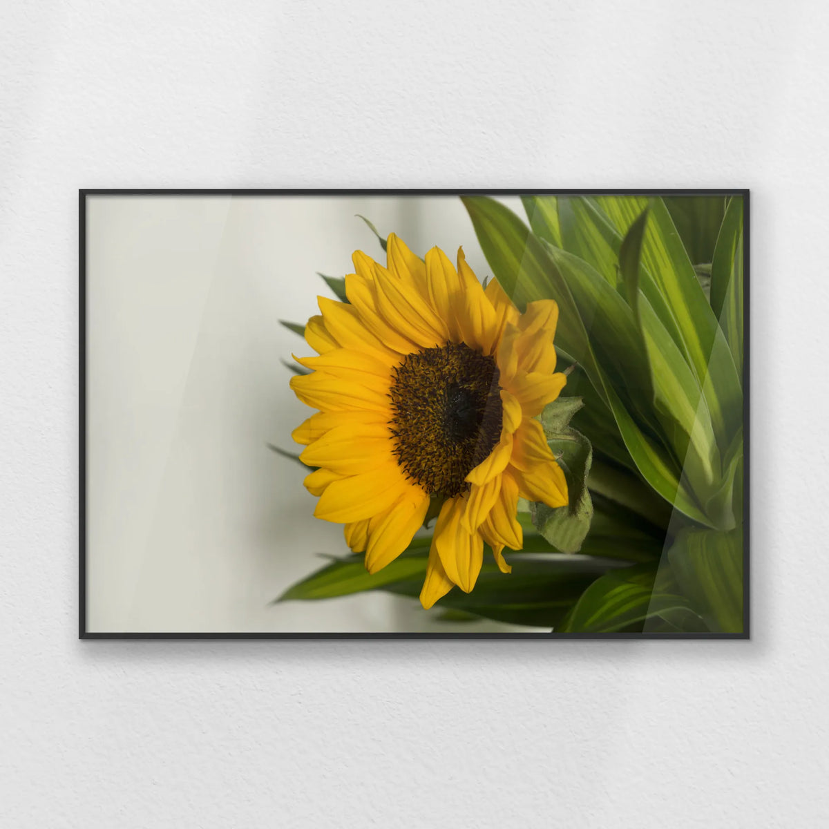 PB-093W062
