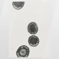 PO-045W060