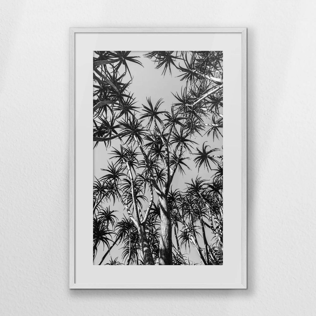 PWP062W093
