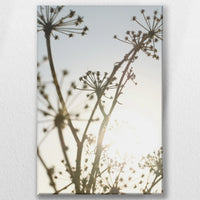 LW-050W075