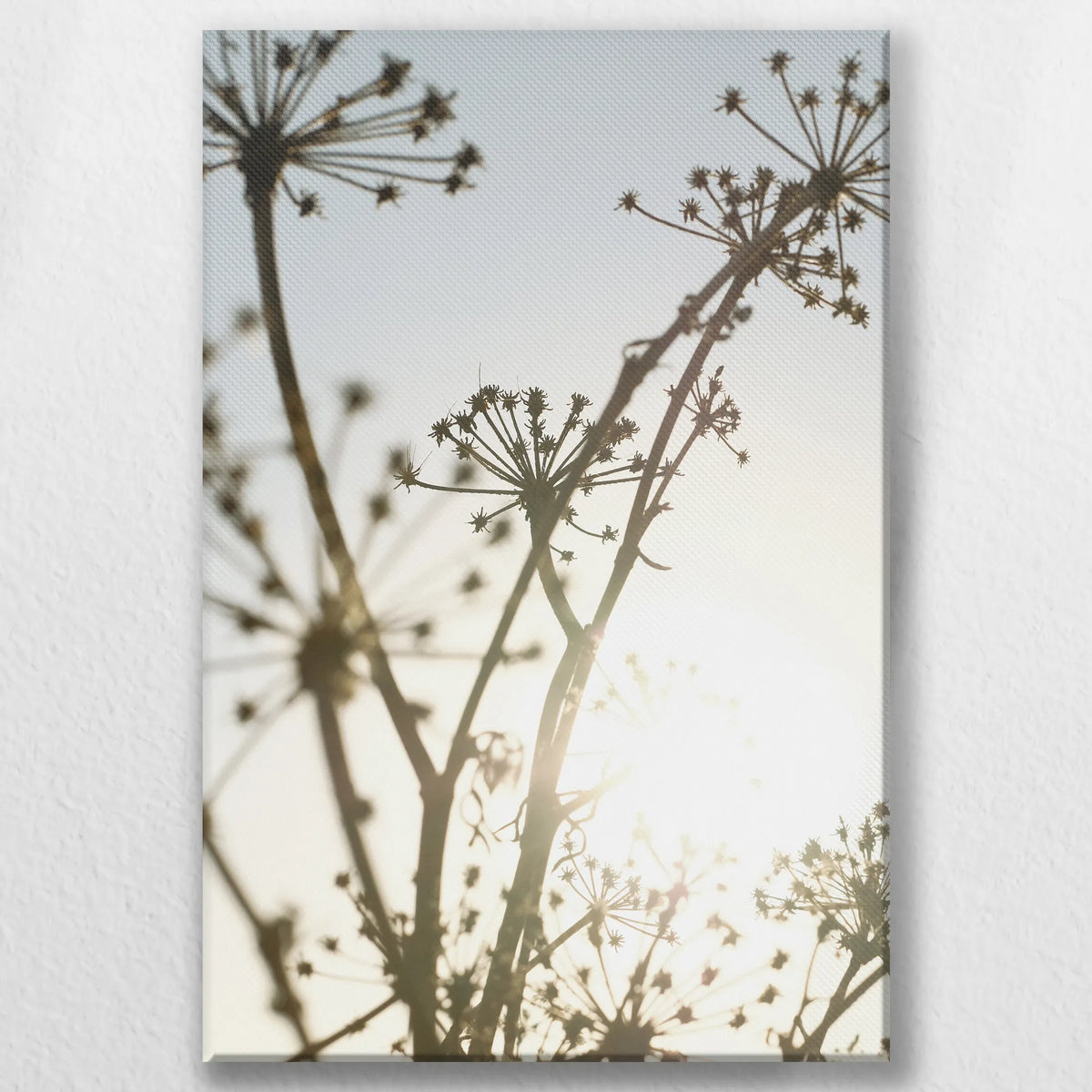 LW-050W075
