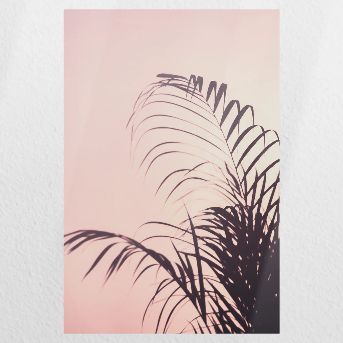 PO-050W075