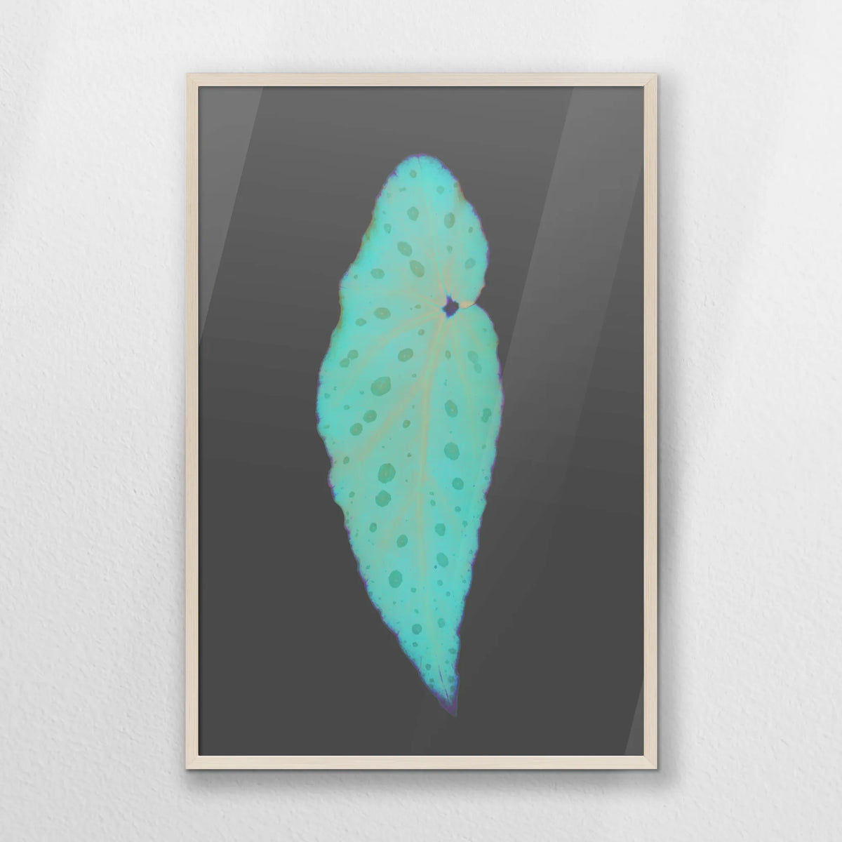 PN-062W093