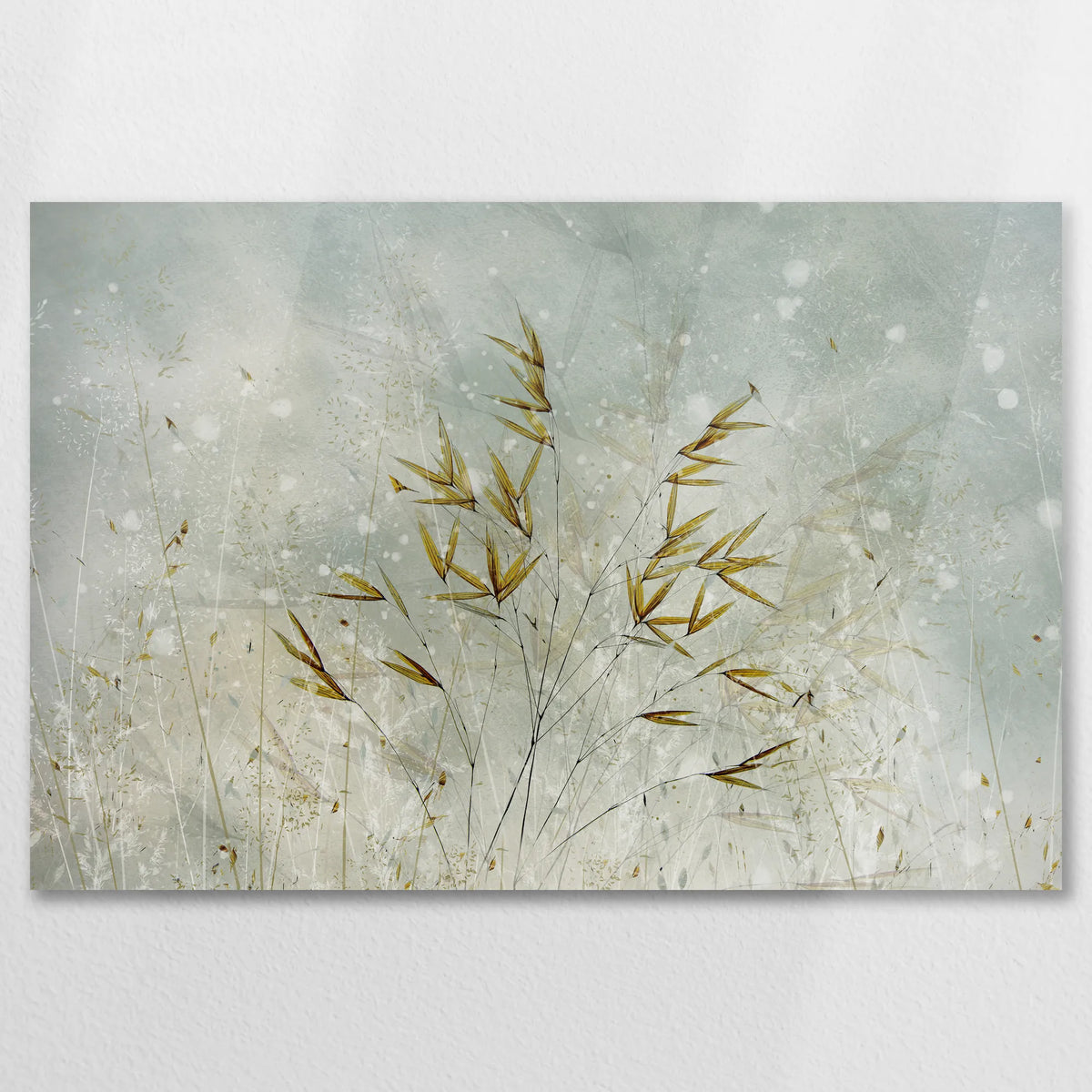 AC-075W050