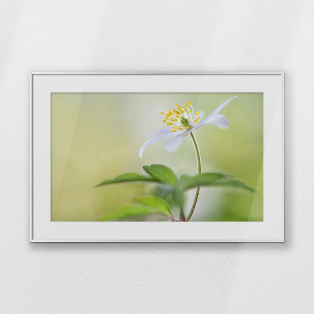 PSP093W062