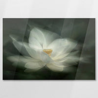 AC-075W050