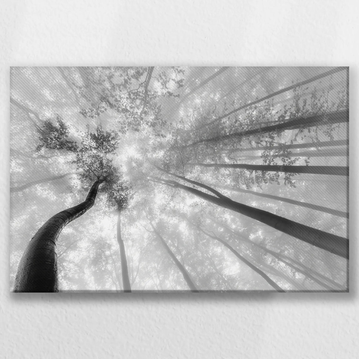 LW-060W040
