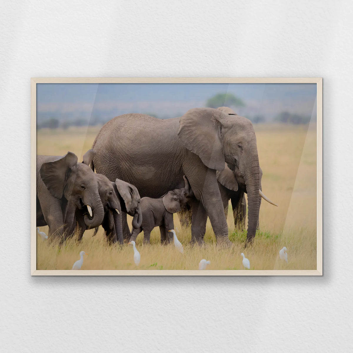 PN-093W062