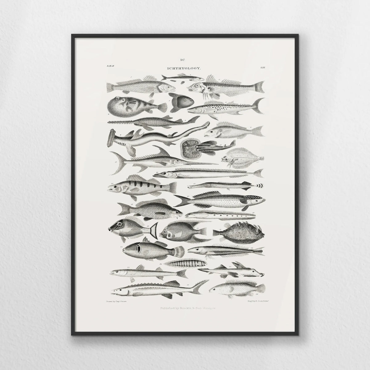 PB-050W070