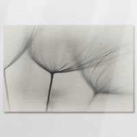 AC-075W050