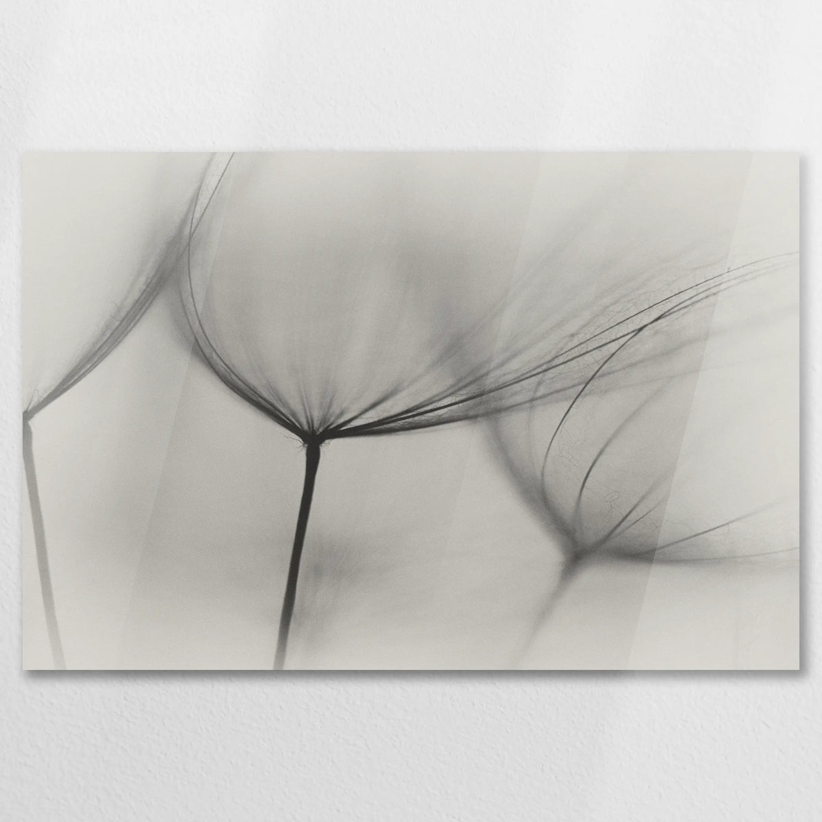 AC-075W050