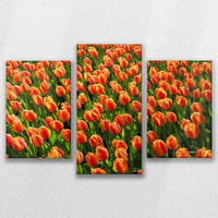 LW-090T060