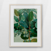 PNP060W080