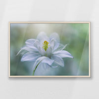 PN-093W062