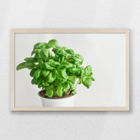 PN-060W040