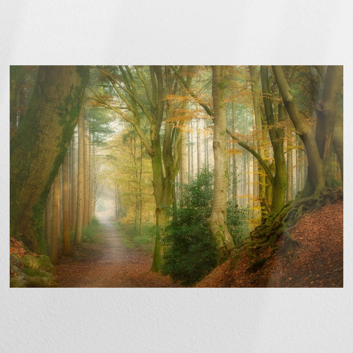 PO-120W080