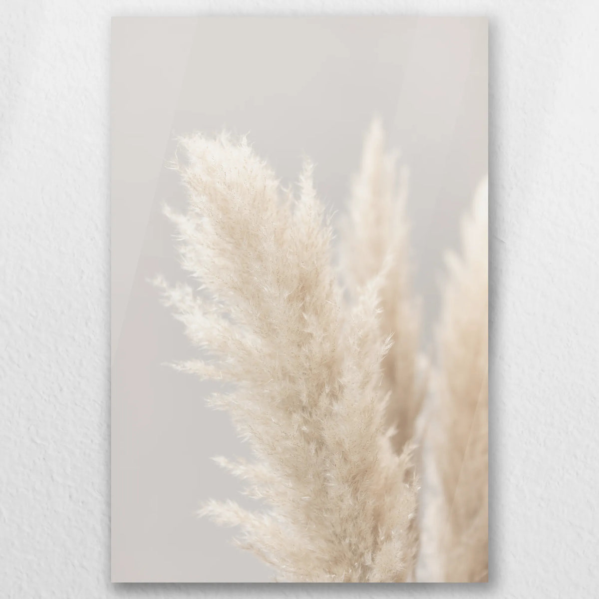 AC-050W075