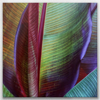 LW-070W070