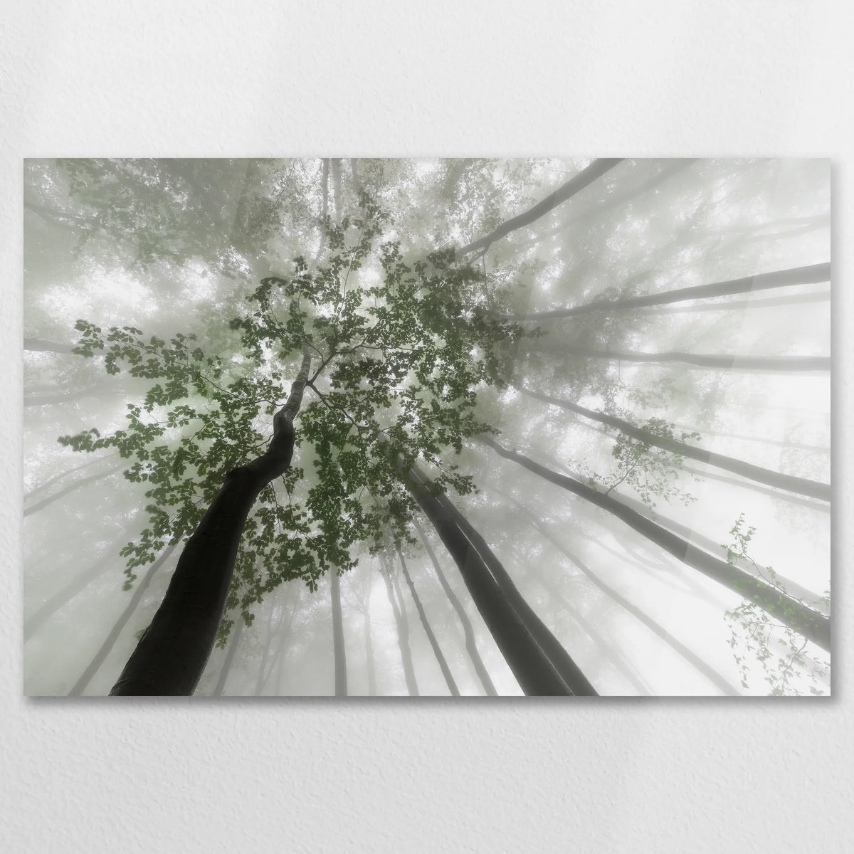 AC-075W050