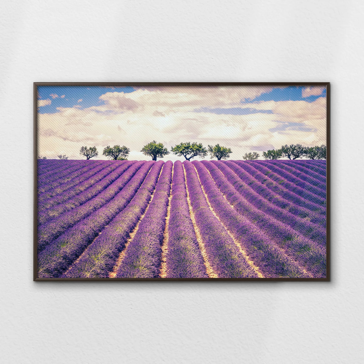 LWN120W080