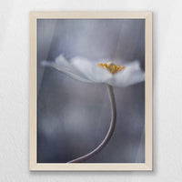 PN-030W040