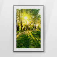 PBP080W120