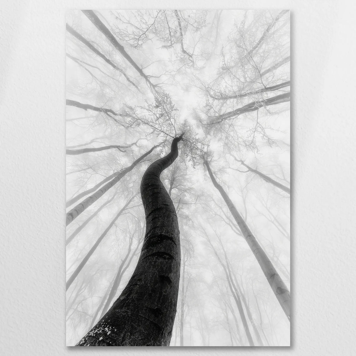 AC-060W090