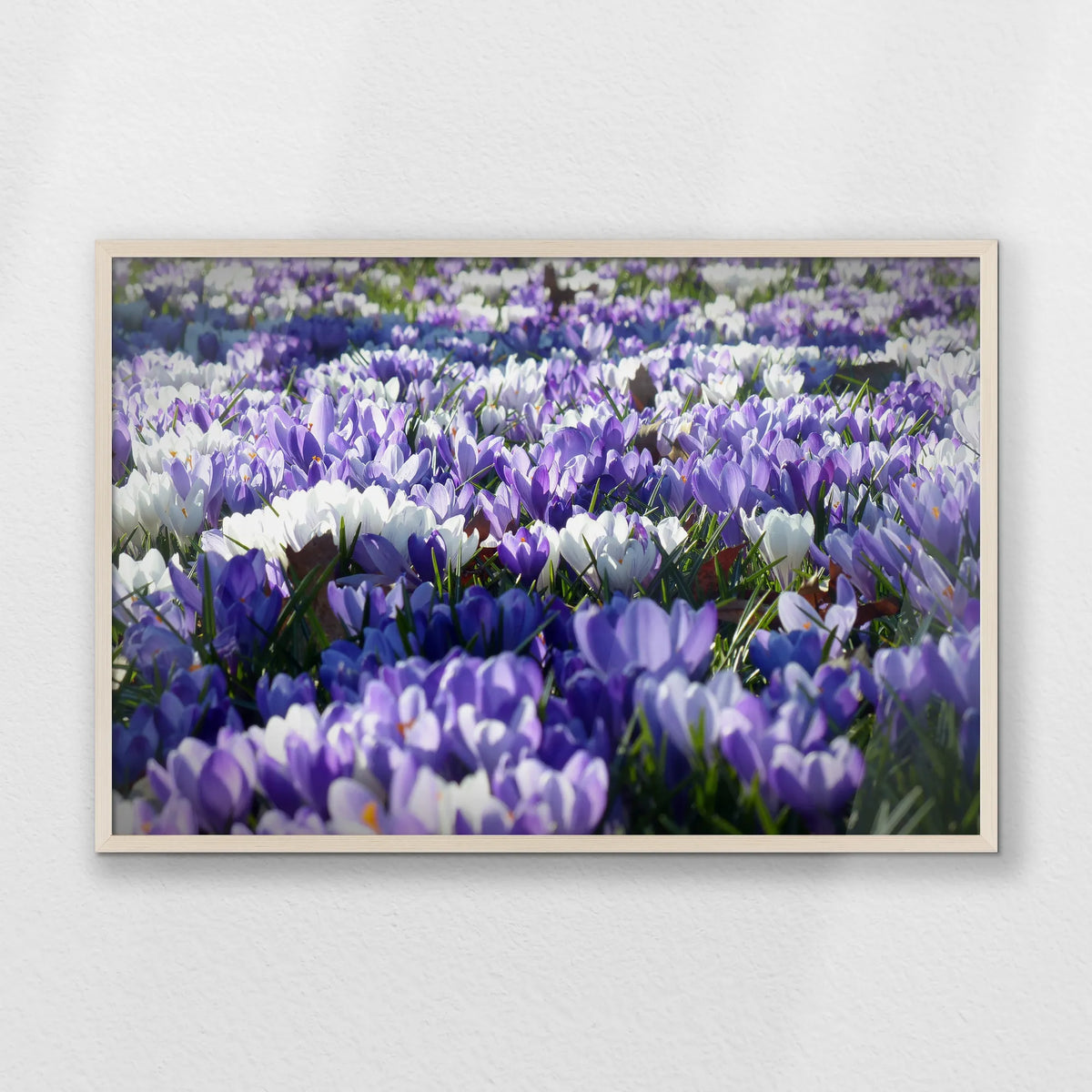 PN-093W062