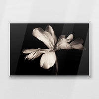 PS-093W062