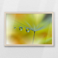 PN-060W040