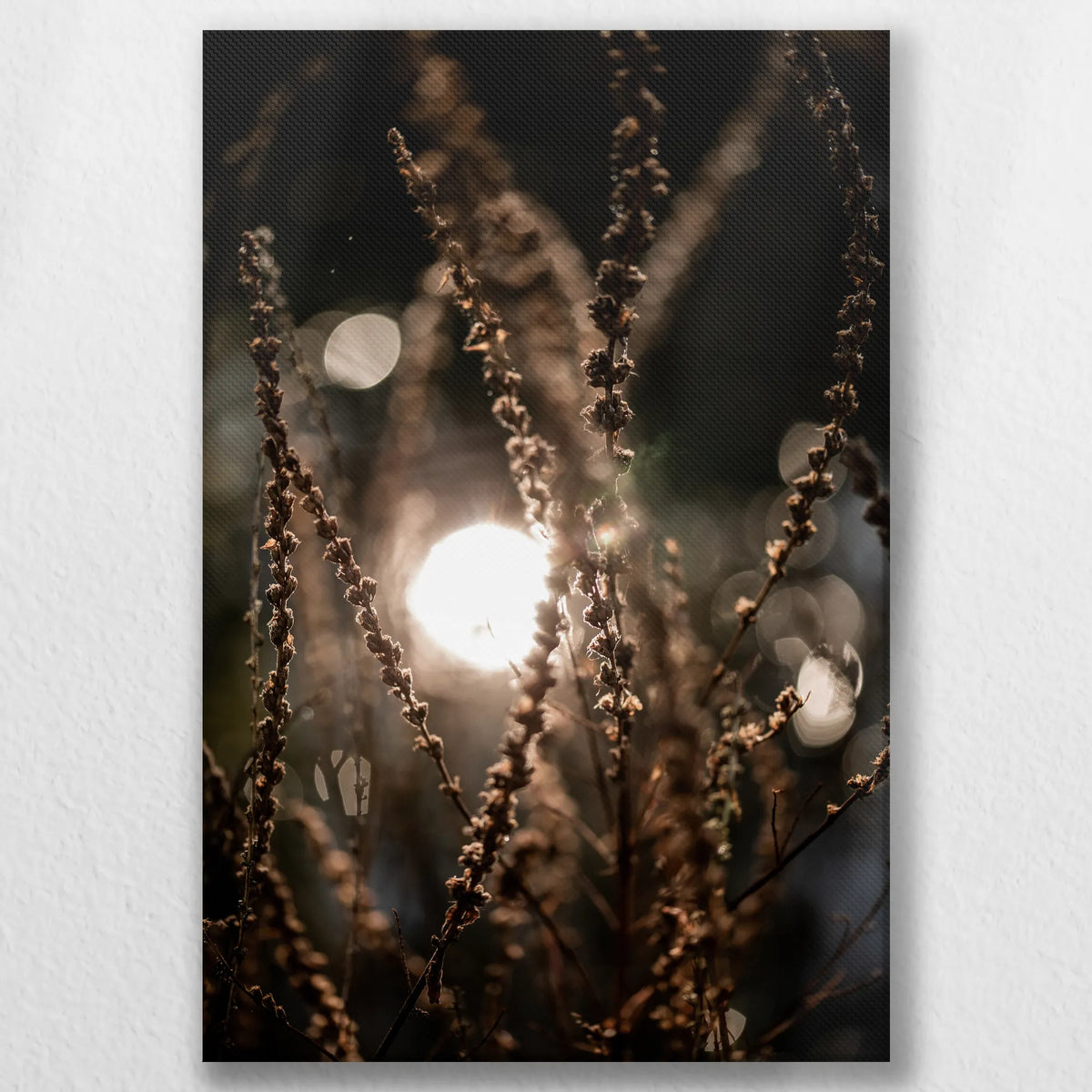 LW-050W075