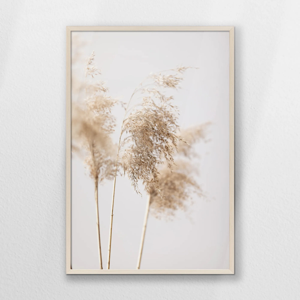 PN-062W093
