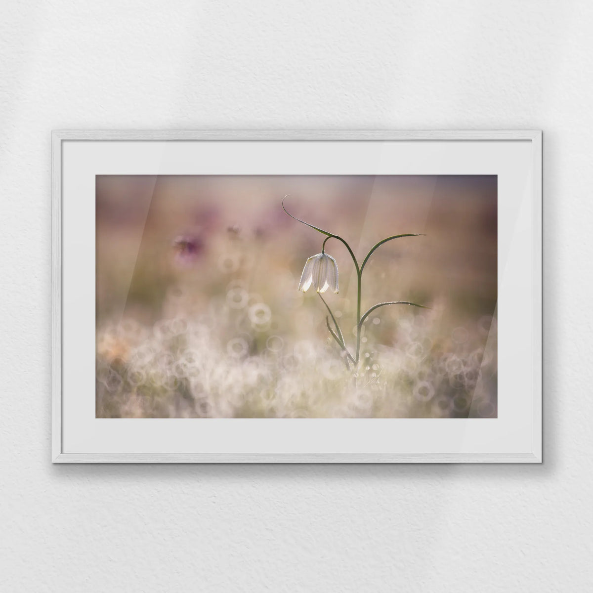 PWP093W062