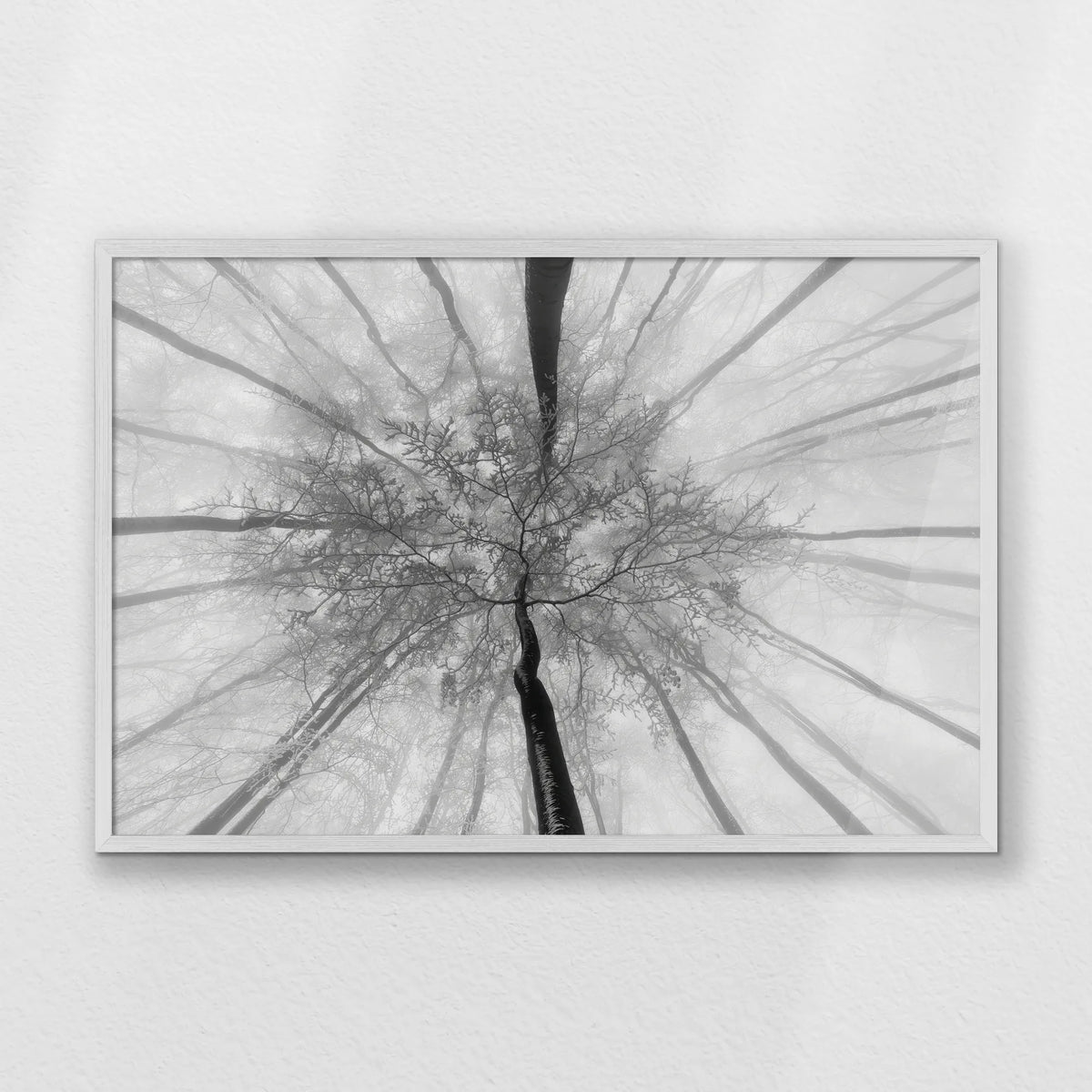 PW-093W062