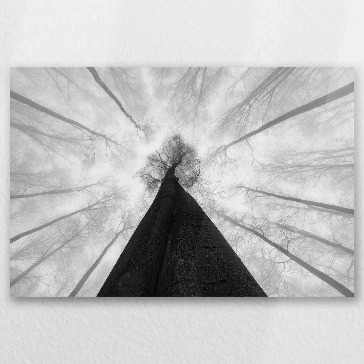 AC-045W030