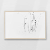 PN-093W062