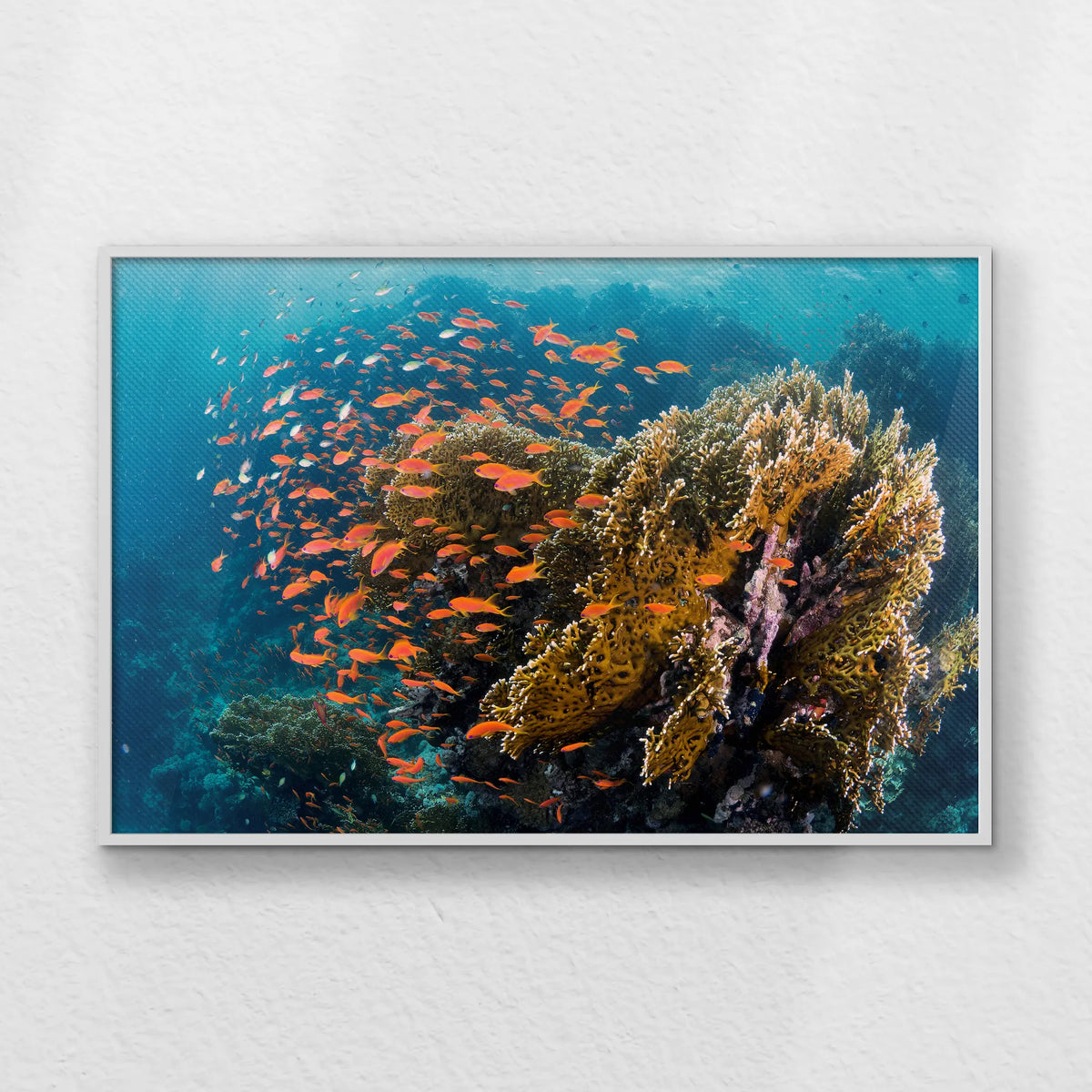 LWW120W080