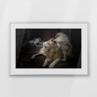 PSP093W062