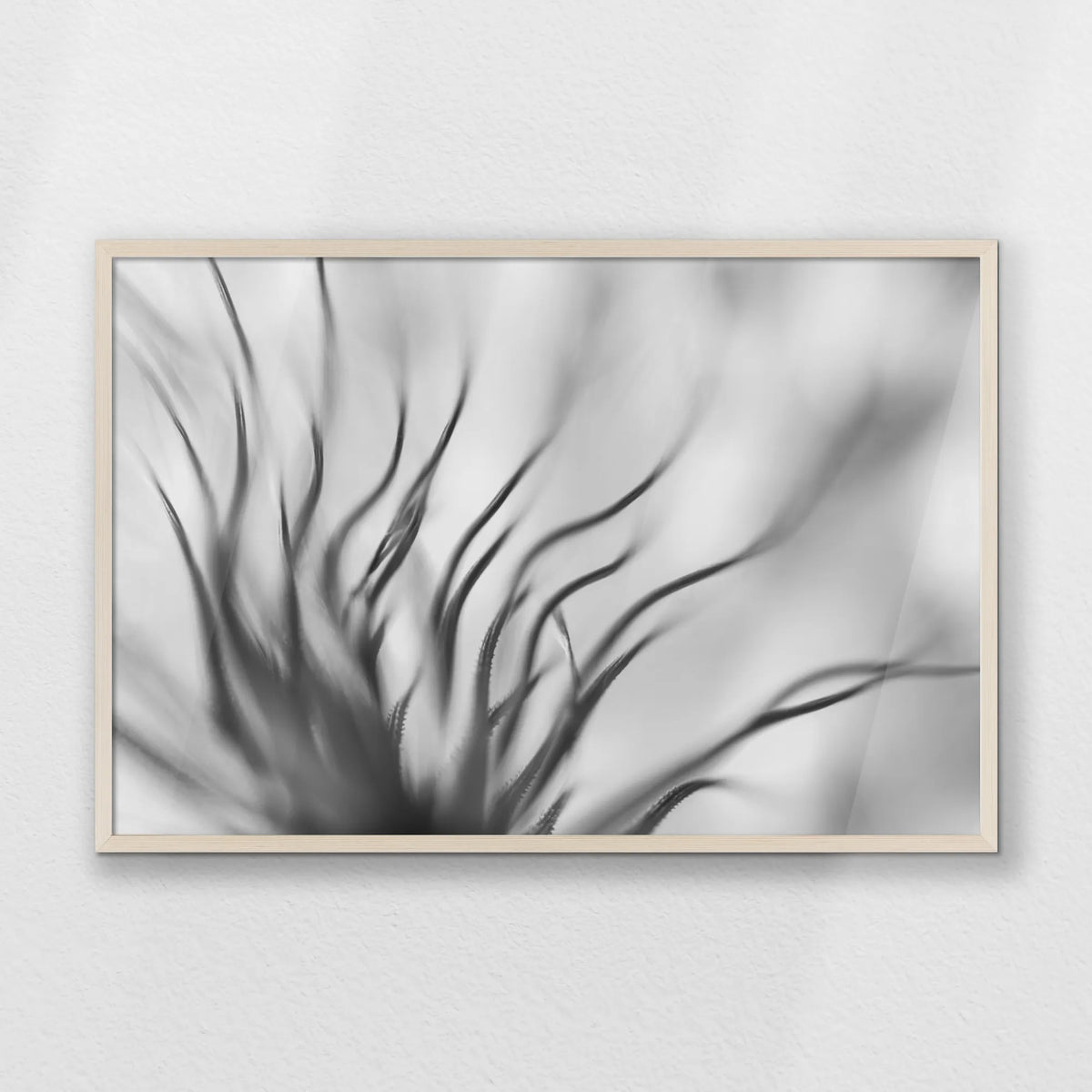 PN-093W062