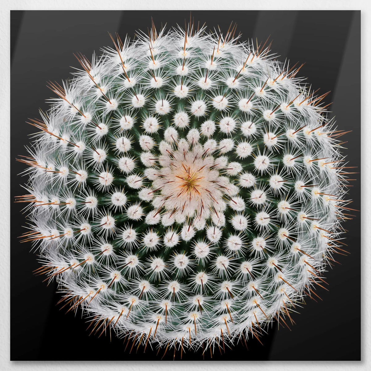 AL-090W090