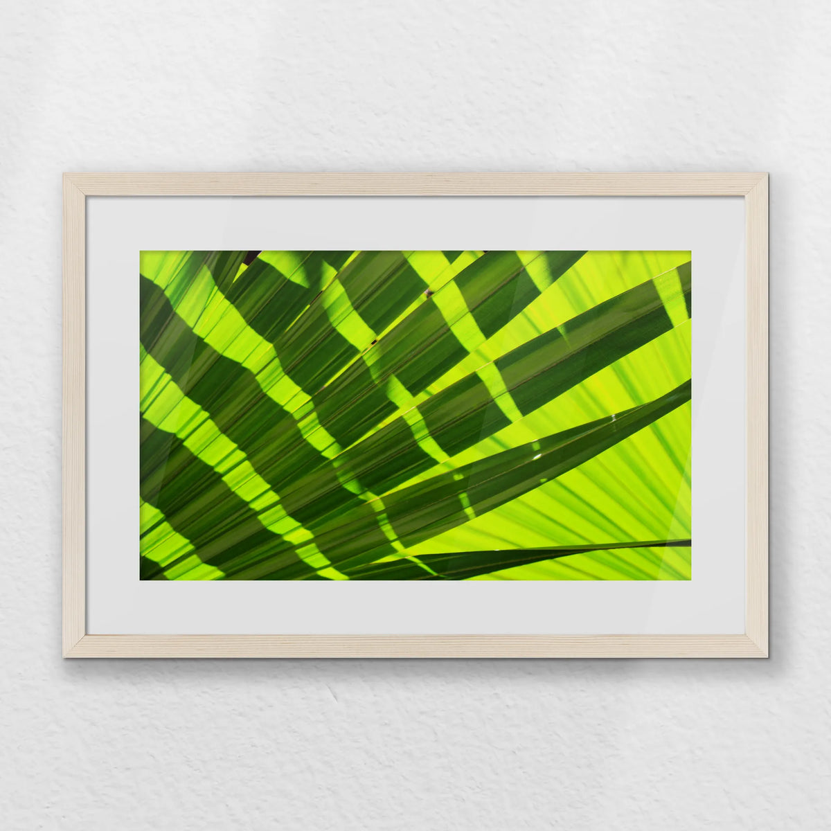 PNP060W040